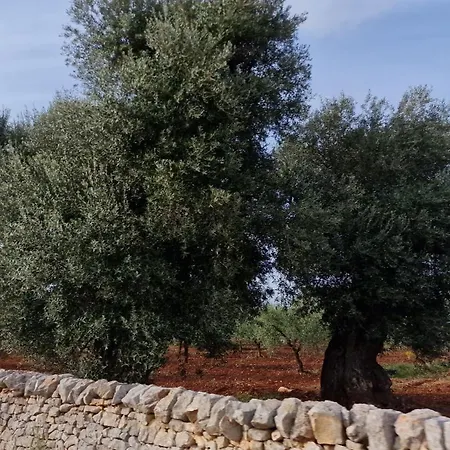 L'ulivo- Casa Vacanza Con Terrazza Panoramica Lejlighed Ostuni