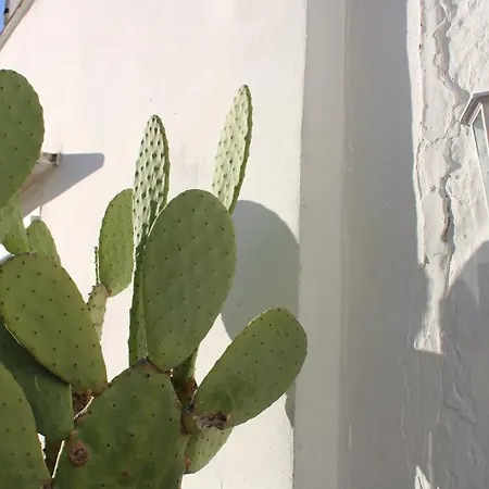 Appartement L'ulivo- Casa Vacanza Con Terrazza Panoramica Ostuni